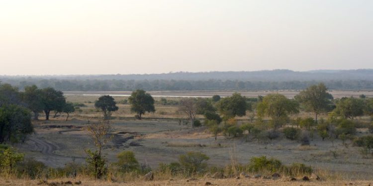 Elephant kills two female tourists from the UK and New Zealand in Zambian national park