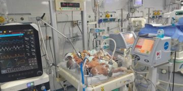 Desperate Gaza doctors cram several babies into one incubator as fuel crisis reaches critical point