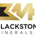 Blackstone Completes Share Purchase Plan